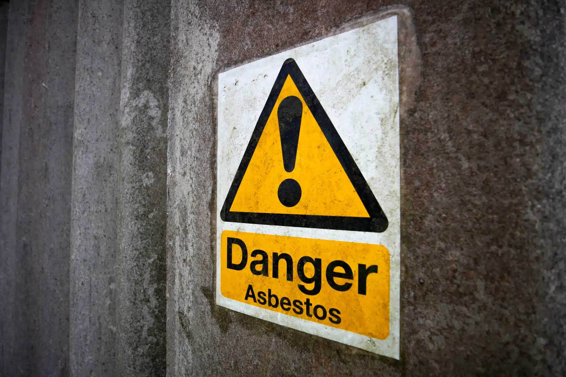 Management Asbestos Survey
